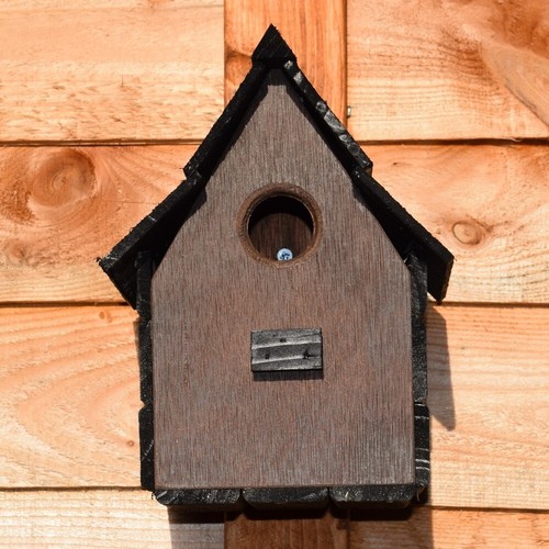 Forest oak bird house nest - forest,