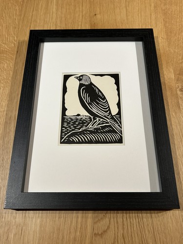Jackdaw framed woodcut - framed,