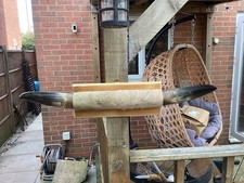 Large Set Of Cow Horns On A