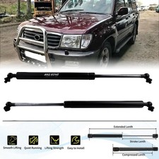 2x Bonnet Gas Struts For