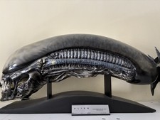 XENOMORPH ALIEN LIFE-SIZE HEAD