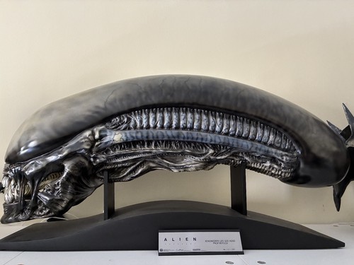 Xenomorph alien life size head - alien, life-size