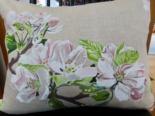Manuel canovas 20 x - ,