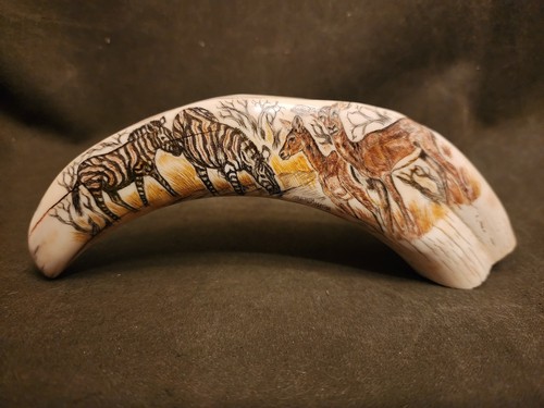 Vintage afican warthog tusk - vintage,