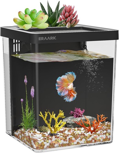 Gallon betta aquarium kit - 1.5,