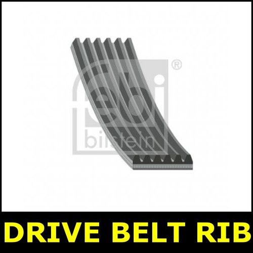 Drive belt fits bmw - fits, x3