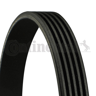 Continental ctam 5pk975 - continental,