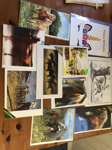 New equestrian joblot - 25,