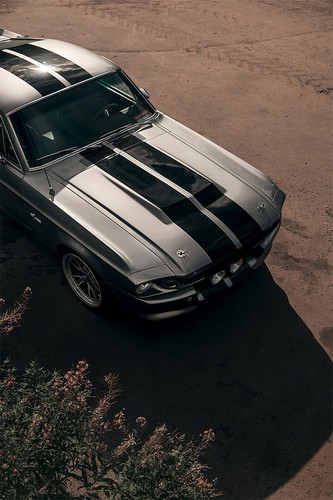 Shelby cobra gt500 - gt500, sports