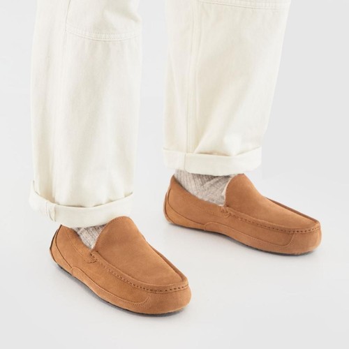 Ugg ascot chestnut - ugg,