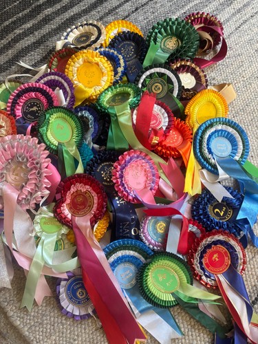 Vintage horse riding rosettes - riding,