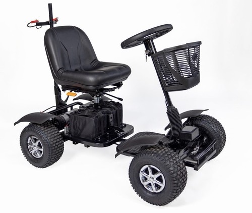 The golf buggy mobility - the,