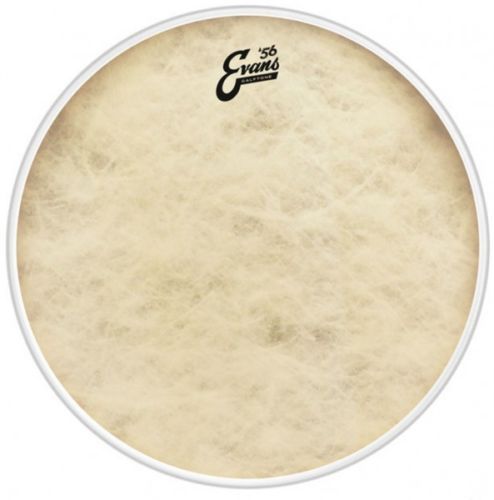 Evans calftone tom - 56,, snare