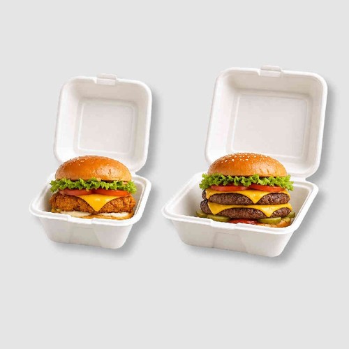 Sugarcane bagasse burger boxes - sugarcane,