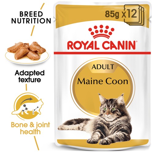 Royal canin maine coon adult - canin,