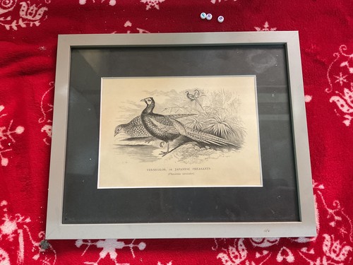 Rare antique 1800s art print - 1800s,
