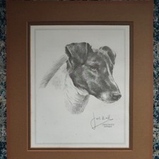 Smooth Fox Terrier Dog Black