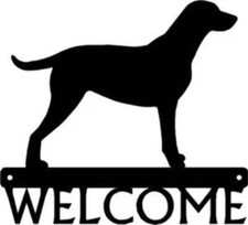 Curly Coated Retriever Dog