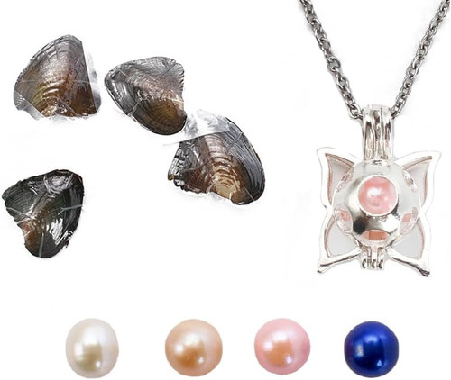 Natural oyster - natural,