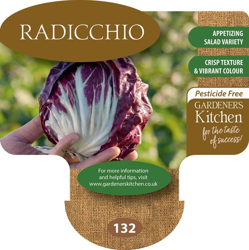 Radicchio plants x - radicchio,
