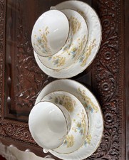 Two Trio Mid Century Set by WH Grindley& Sons Staffordshire Dongola Pattern