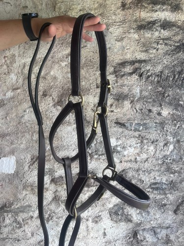 Brown leather headcollar - headcollar, and