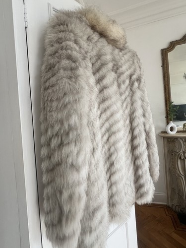 1970s arctic saga fox - saga,