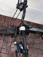 Coyote Montana Mans Mountain