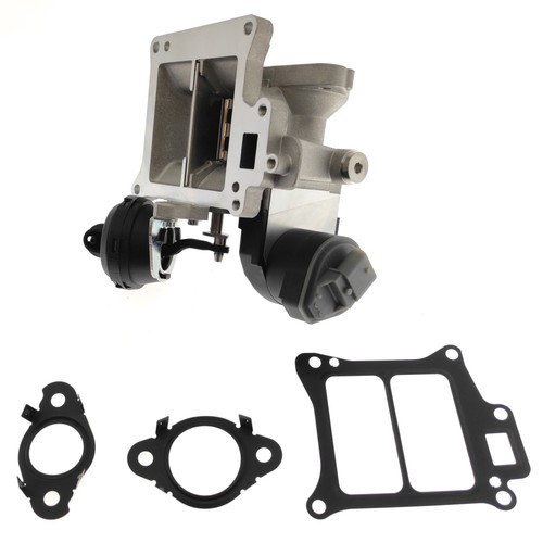 Egr valve with - valve,