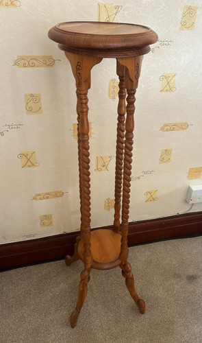Large barley twist - , plant