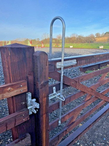 Equestrian gate latch - , horse
