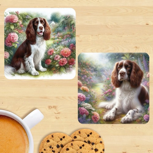 Springer spaniel coasters - springer,