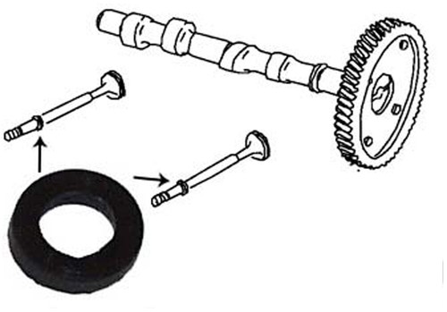 Bus beetle valve - /, stem