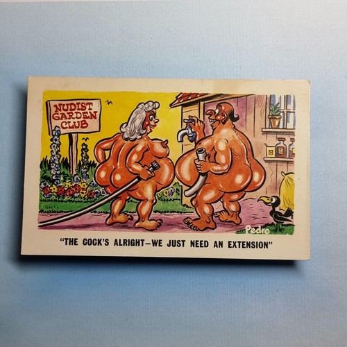 Comic postcard c1970 nudist - c1970,