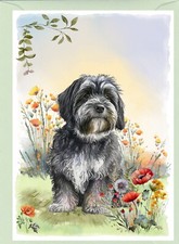 Tibetan Terrier Dog Greetings Card. Front of card can be personalised