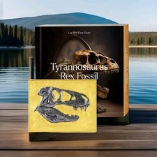 2023 CHAD 5000 FRANCS **T-REX