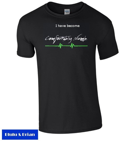 Pink floyd comfortably numb - floyd,