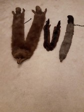 Vintage Taxidermy Fox Stole Fur Skin