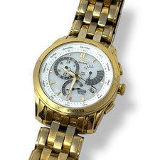 Rare Citizen Eco-Drive