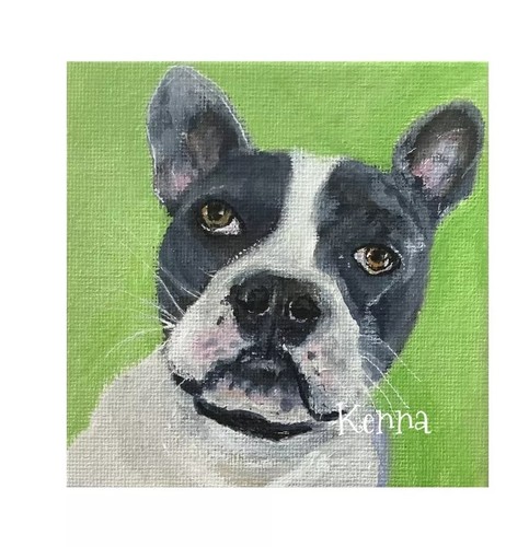 Painting french bulldog - french, dog