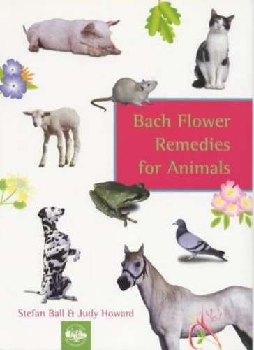 Bach flower remedies - remedies, for