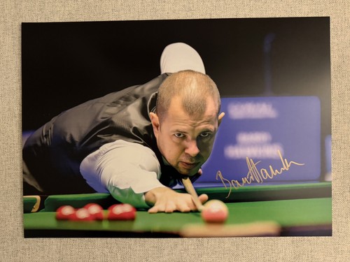 Barry hawkins snooker - barry,