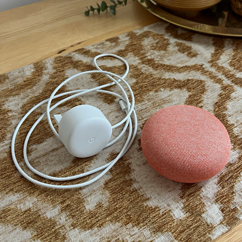 Google home nest - nest, mini