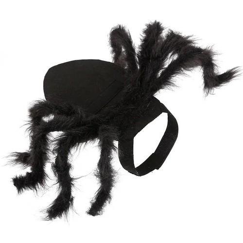 Halloween pet black - halloween,