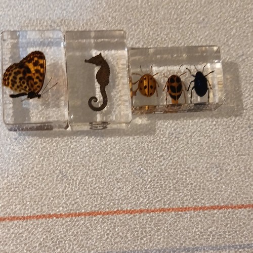 Resin paperweights with - resin,