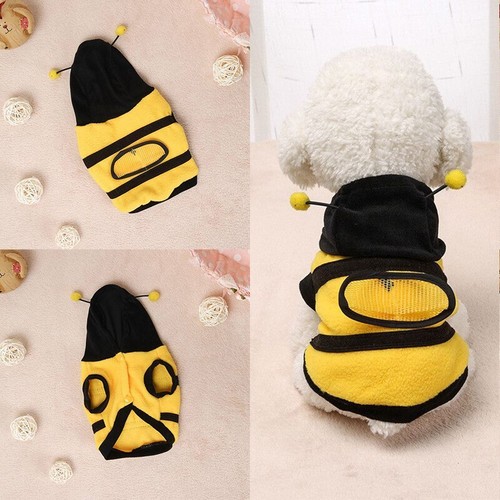 Cute bee costume - cute, warm
