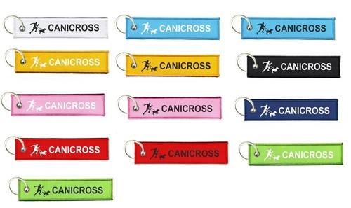Keychain keyring key - keychain,