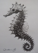 Ink Drawing Seahorse
