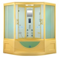 Steam shower wellness shower
