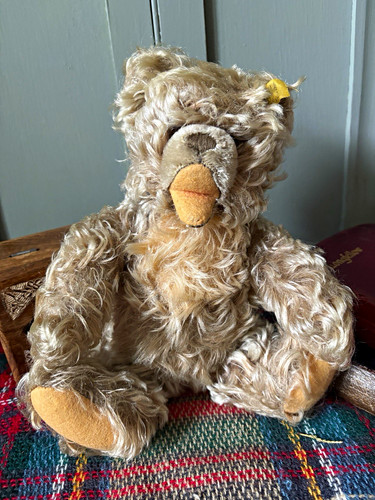 Vintage steiff zotty teddy - vintage,